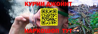 ГАЛЛЮЦИНОГЕННЫЕ ГРИБЫ Беслан