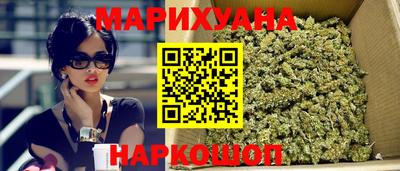 мяу мяу мука Гай