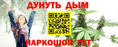 ПСИЛОЦИБИНОВЫЕ ГРИБЫ Гагарин